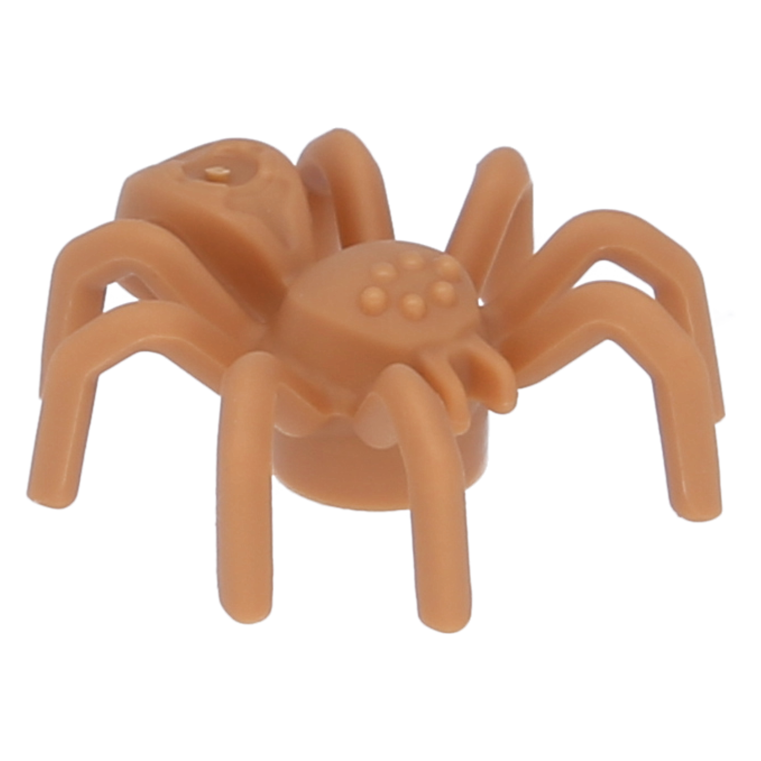 LEGO insects - spider with an elongated abdomen